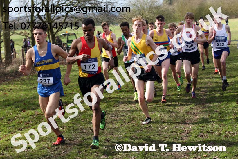 Mens under-20s 2019 British Athletics Inter Counties Cross Country, Prestwood Hall, Loughborough. Photo:  David T. Hewitson/Sports for All Pics